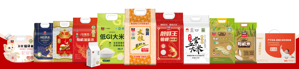 东升国际-「品质引领发展,专一成就将来」
