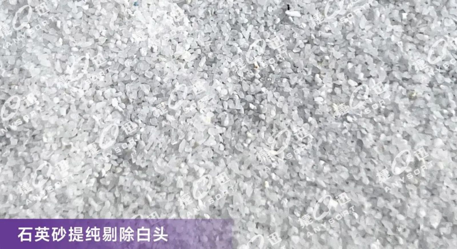 东升国际-「品质引领发展,专一成就将来」