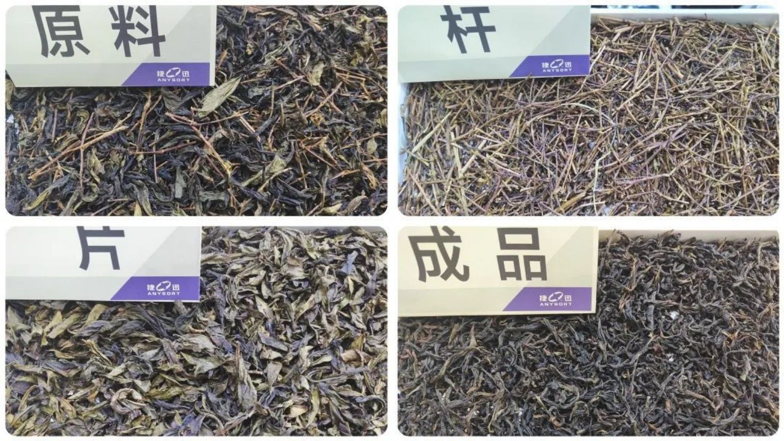 东升国际-「品质引领发展,专一成就将来」