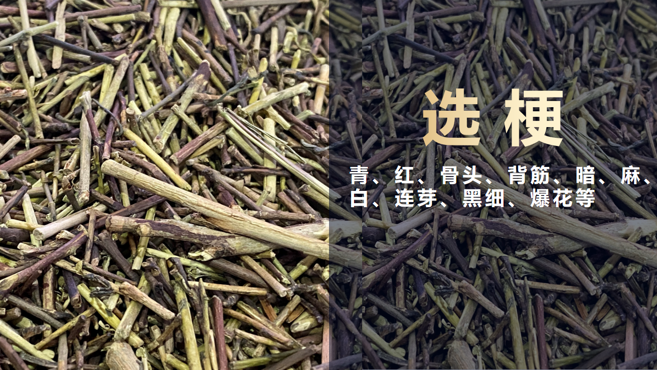 东升国际-「品质引领发展,专一成就将来」