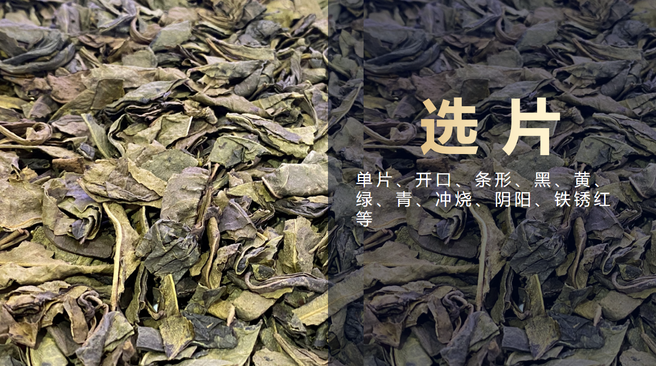 东升国际-「品质引领发展,专一成就将来」