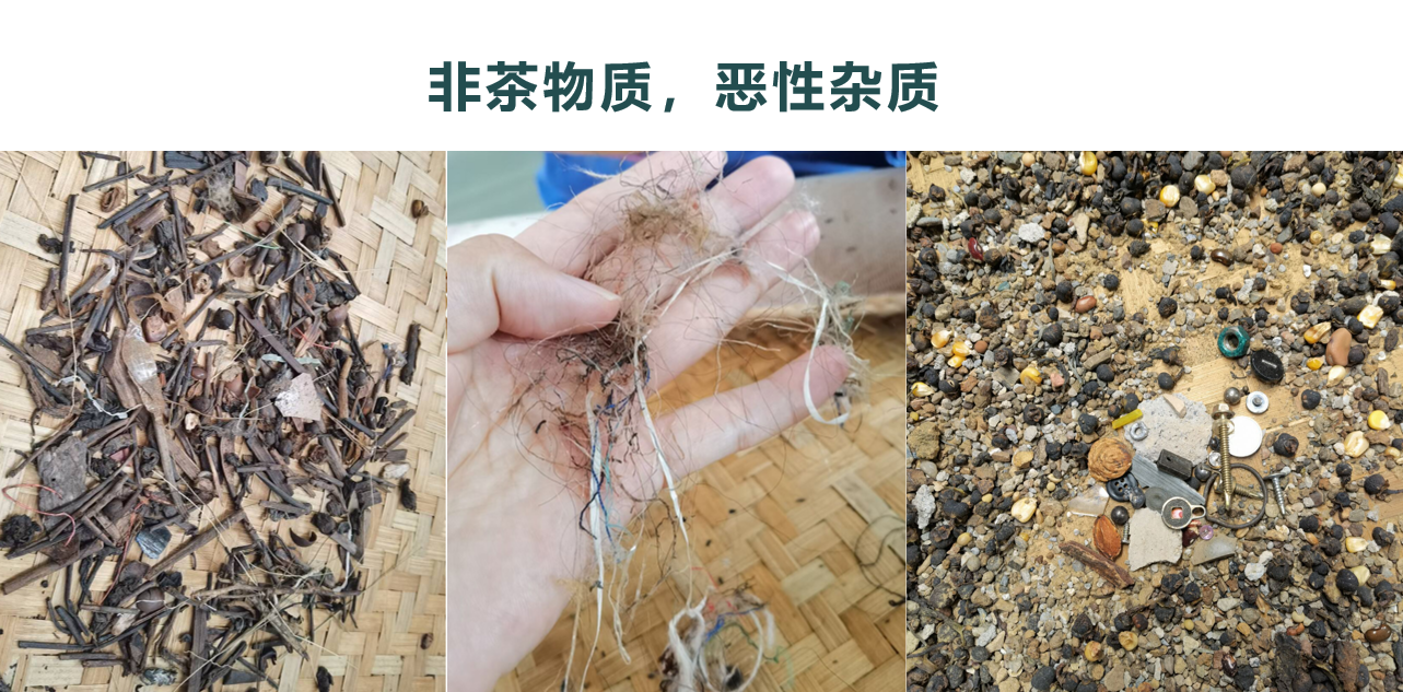东升国际-「品质引领发展,专一成就将来」