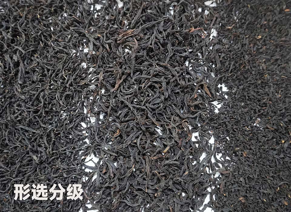 东升国际-「品质引领发展,专一成就将来」
