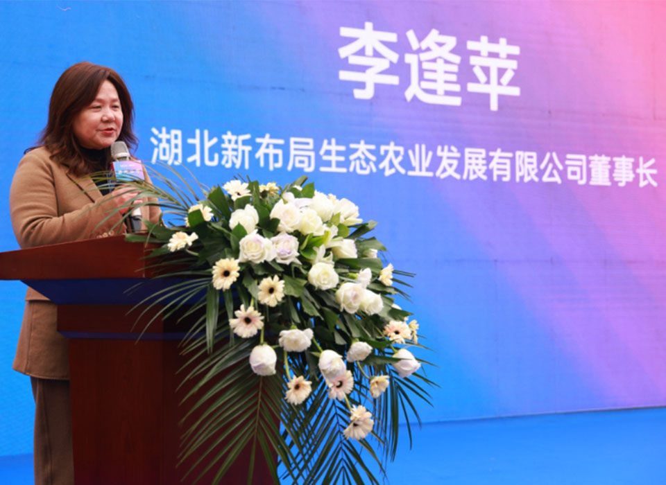 东升国际-「品质引领发展,专一成就将来」