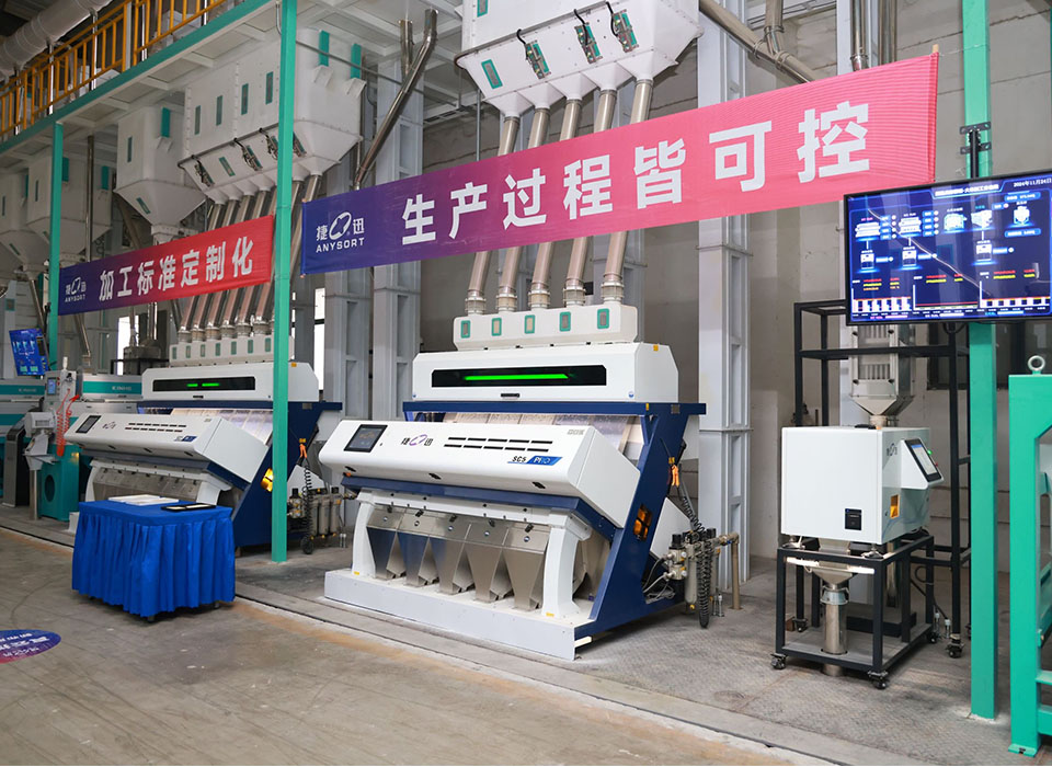 东升国际-「品质引领发展,专一成就将来」