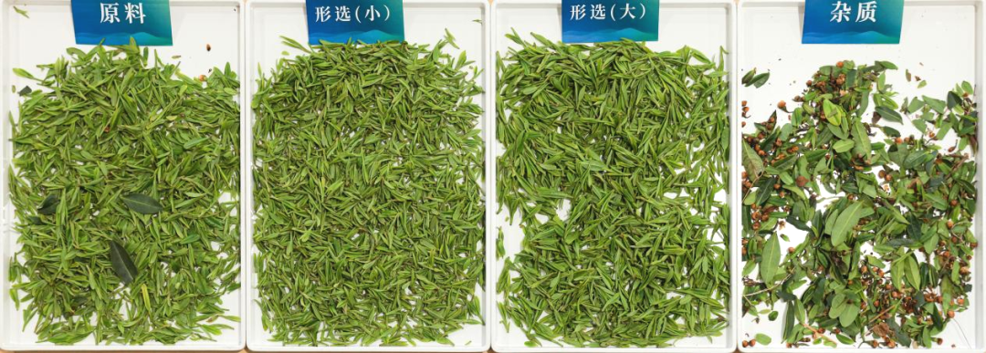 东升国际-「品质引领发展,专一成就将来」