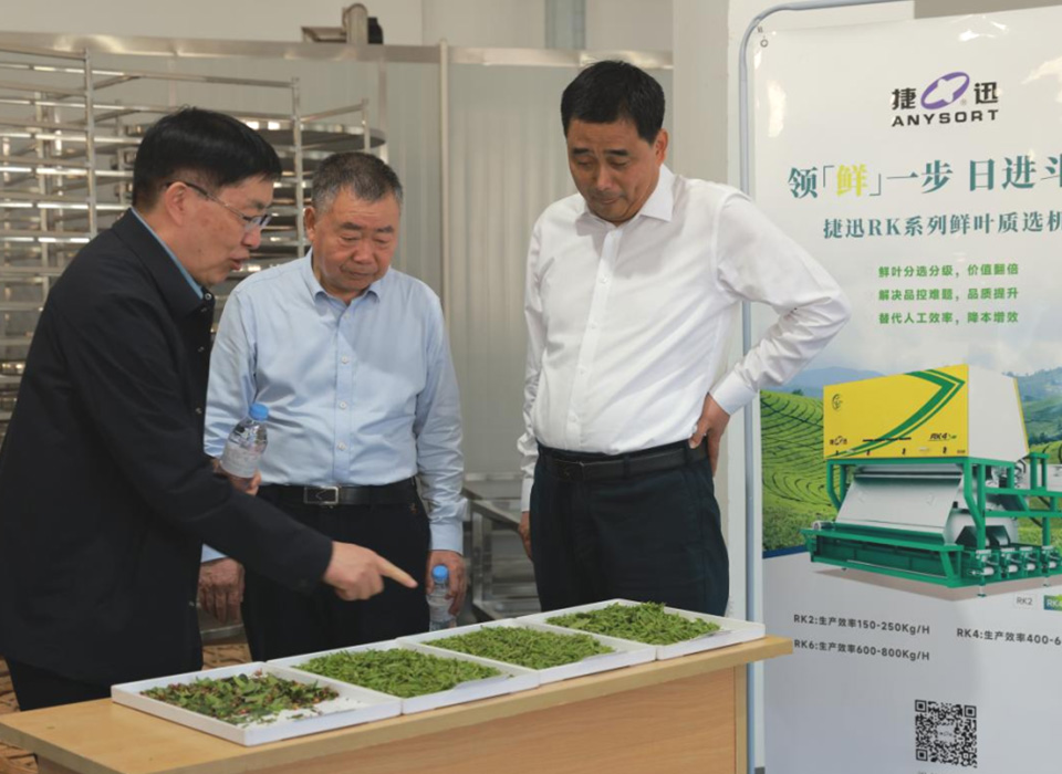 东升国际-「品质引领发展,专一成就将来」