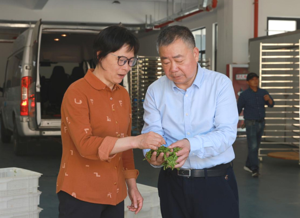 东升国际-「品质引领发展,专一成就将来」