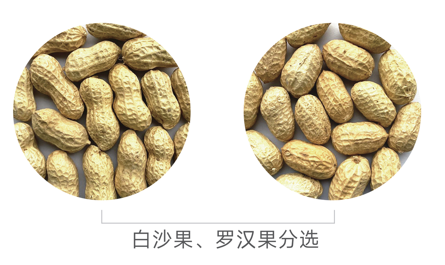 东升国际-「品质引领发展,专一成就将来」