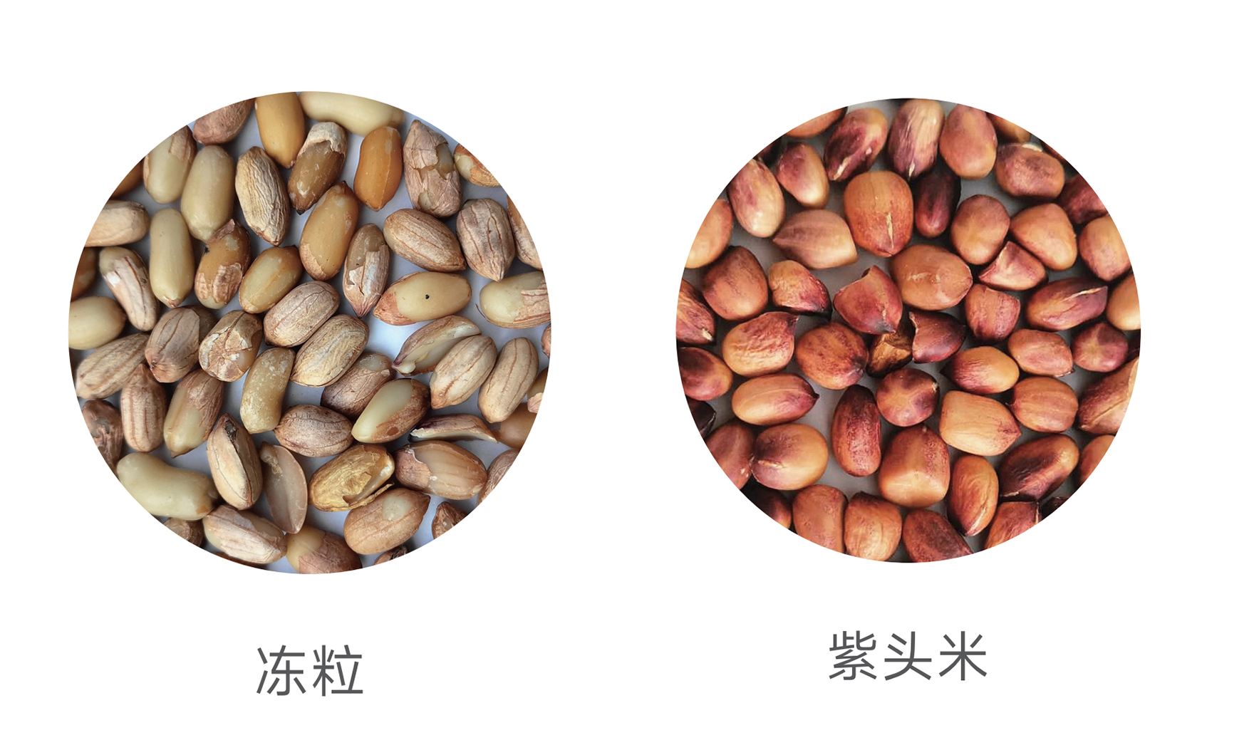 东升国际-「品质引领发展,专一成就将来」